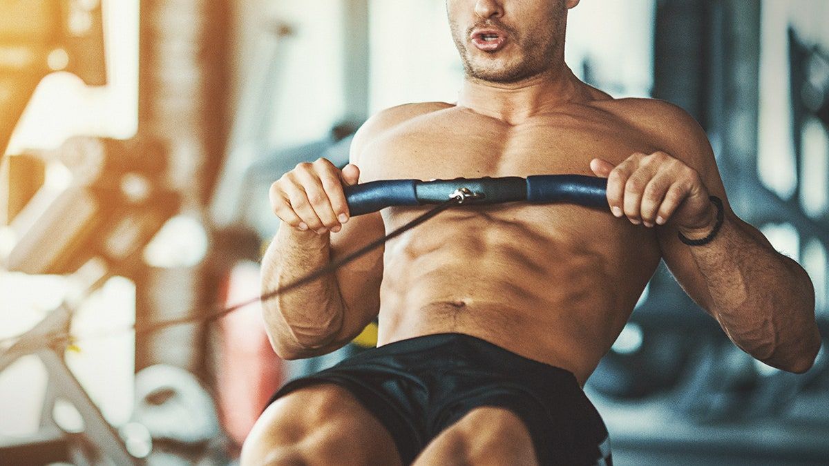 Тестостерон фенилпропионат тренировка